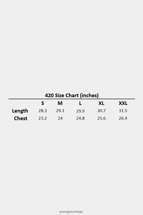 YoungLA män 420 essential oversized t-shirt himmelsblå tvätt Kläder 62TXL165