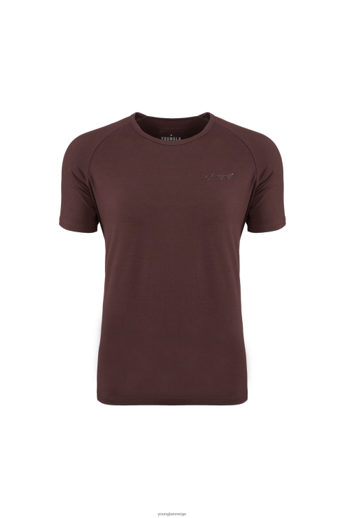 YoungLA män 422 monterad delt tee brun Kläder 62TXL382